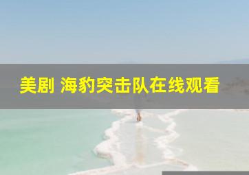 美剧 海豹突击队在线观看